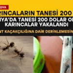 İsrail Basınından Flaş İddia_20250416_112419_0000