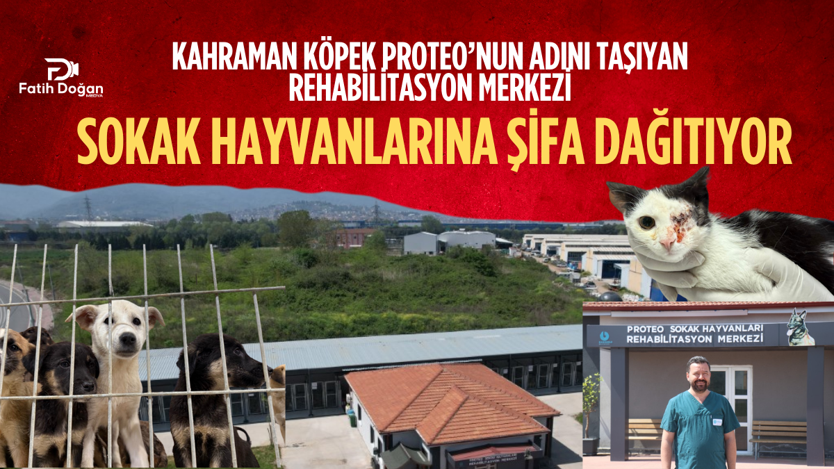 Kan Donduran Görüntüler!_20250427_164147_0000