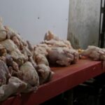 Döner imalathanesinde mide bulandıran görüntüler