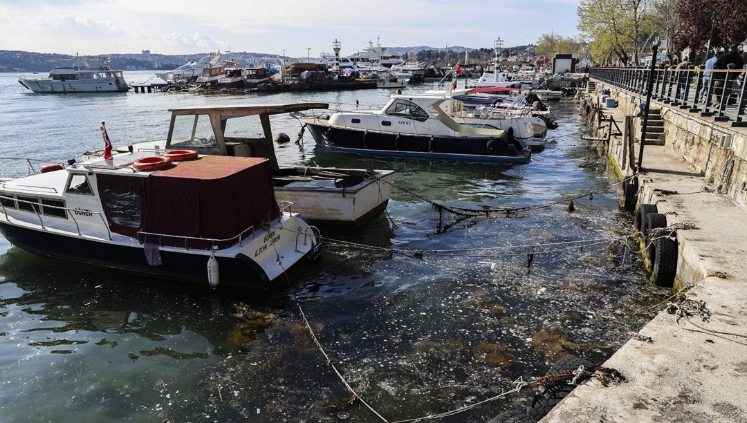 İstanbul'da müsilaj alarmı: Kabus geri döndü