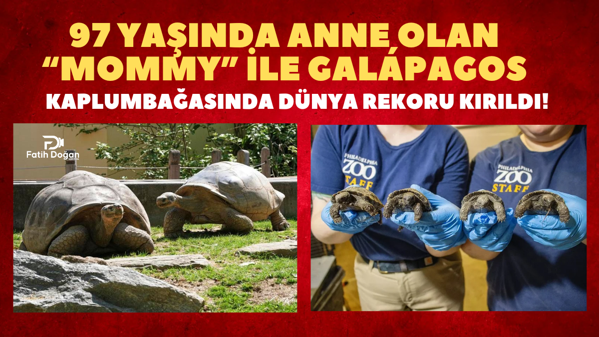 PKK Kongresinde Tarihi Kararlar_20250514_213922_0000