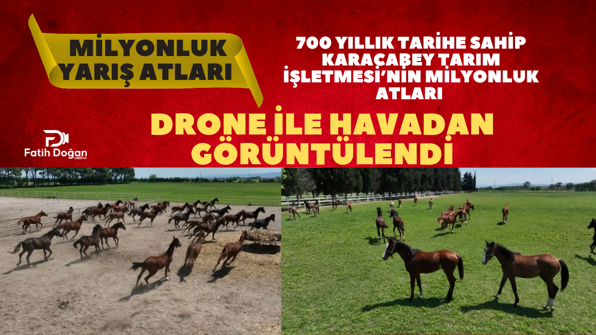 PKK Kongresinde Tarihi Kararlar_20250515_111920_0000