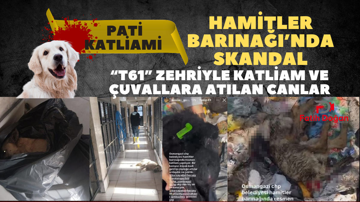 PKK Kongresinde Tarihi Kararlar_20250515_114458_0000
