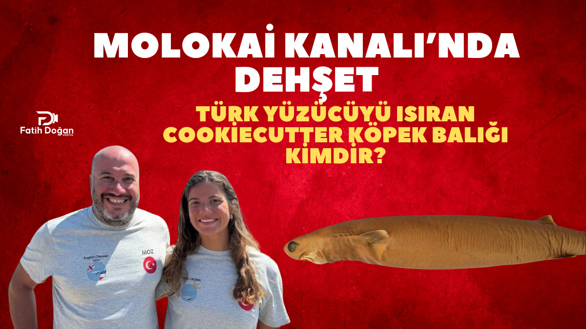 Molokai Kanalı’nda dehşet: Türk yüzücüyü ısıran Cookiecutter Köpek Balığı Kimdir?