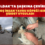 PKK Kongresinde Tarihi Kararlar{_20250520_161907_0000