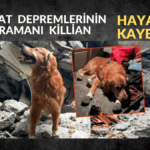PKK Kongresinde Tarihi Kararlar{_20250524_213247_0000