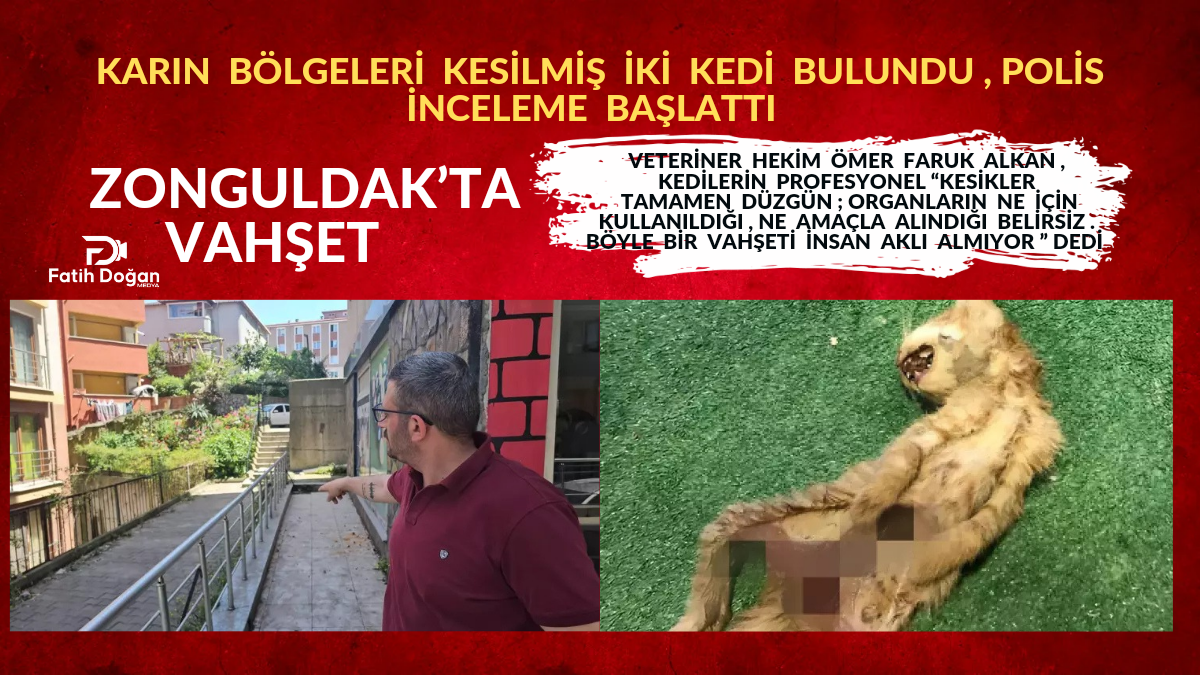 PKK Kongresinde Tarihi Kararlar{_20250525_122243_0000
