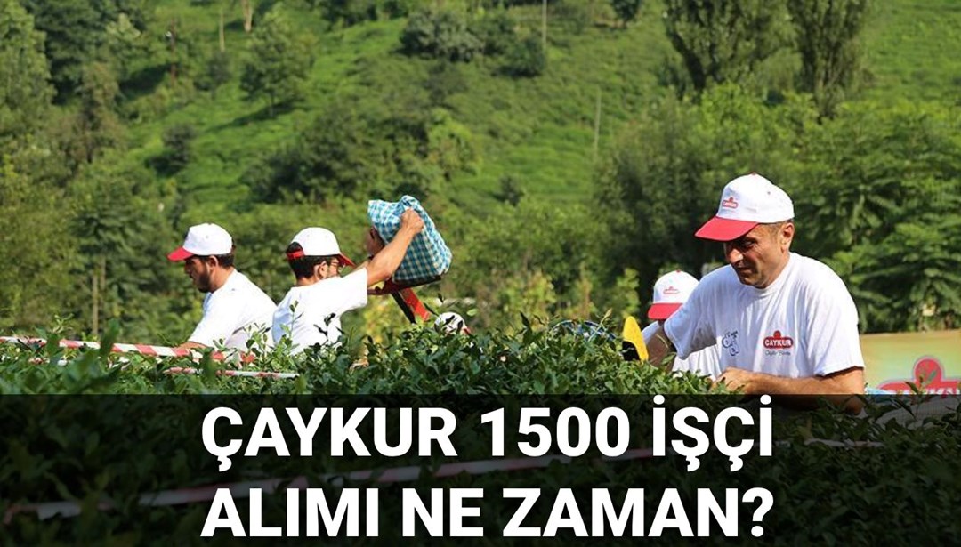 ÇAYKUR işçi alımı kura çekimi ne zaman? ÇAYKUR nihai liste için gözler kura takviminde