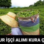 ÇAYKUR işçi alımı kura sonuçları ne zaman açıklanacak? Çaykur işçi alımı kura tarihi