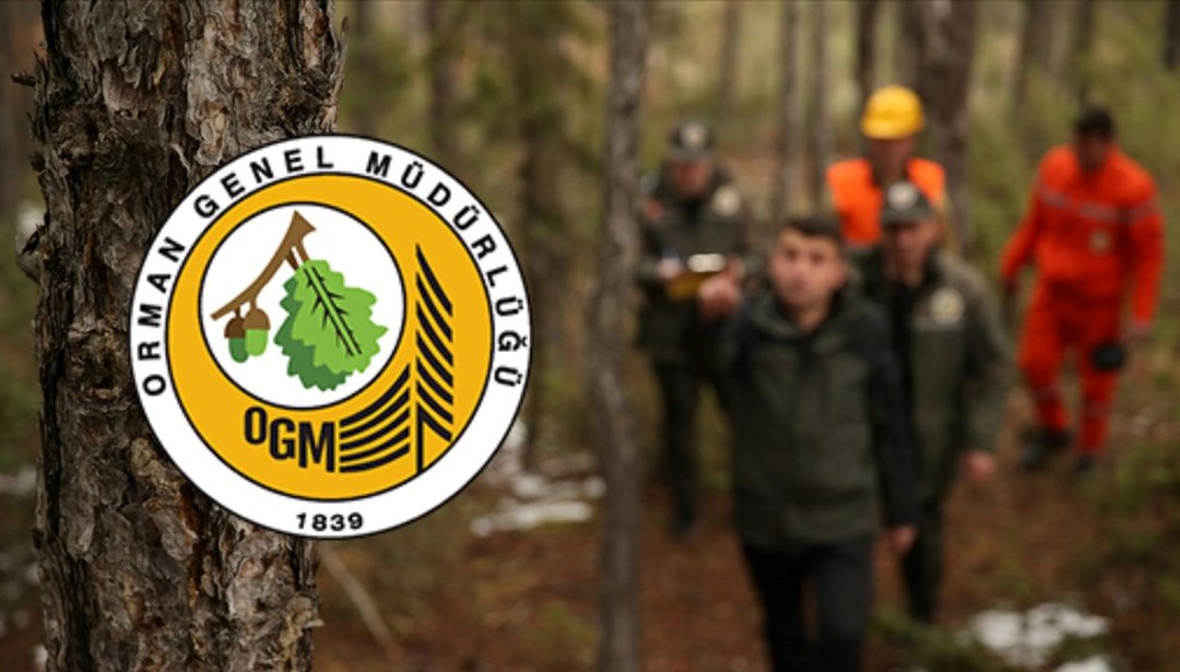 OGM 3