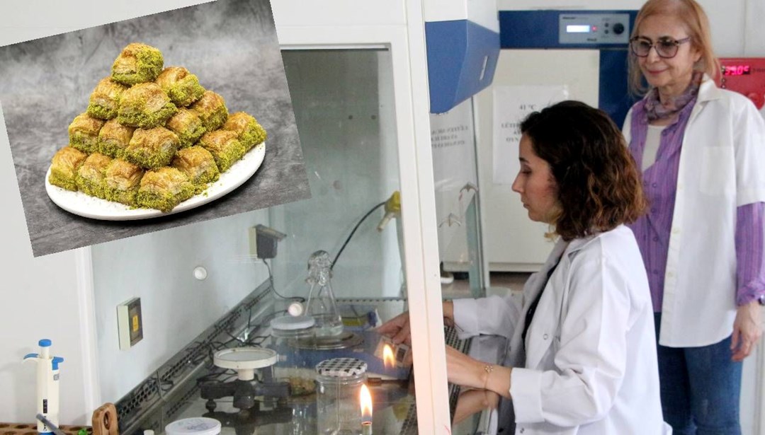 Baklavaya dikkat: 20 numuneden 5'inde bakteri çıktı