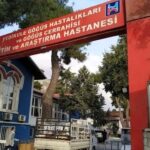 Yedikule'ye operasyonda yeni gelişme: 7 şüpheli tutuklandı