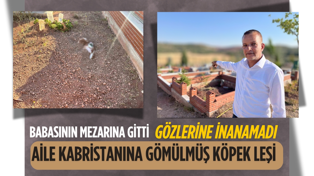 _ ARCHİE BROWN_20250713_223126_0000