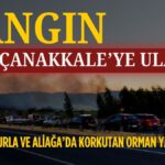 ARCHİE BROWN_20250713_231130_0000