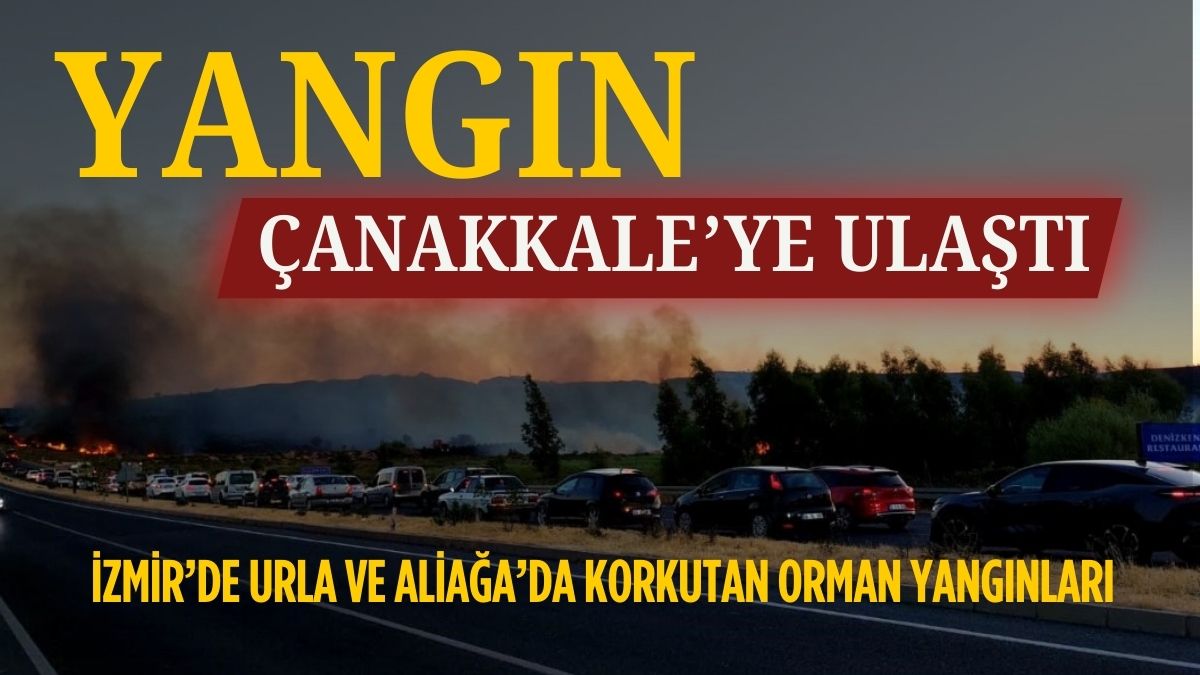 ARCHİE BROWN_20250713_231130_0000