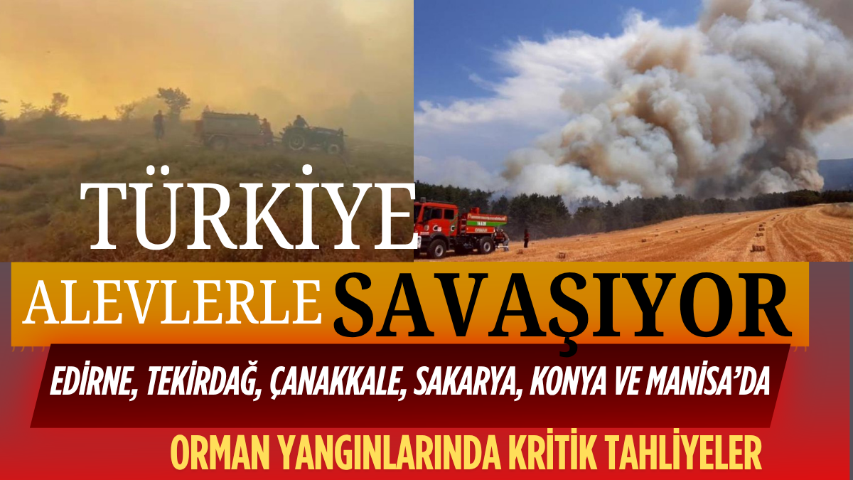 ARCHİE BROWN_20250715_200915_0000