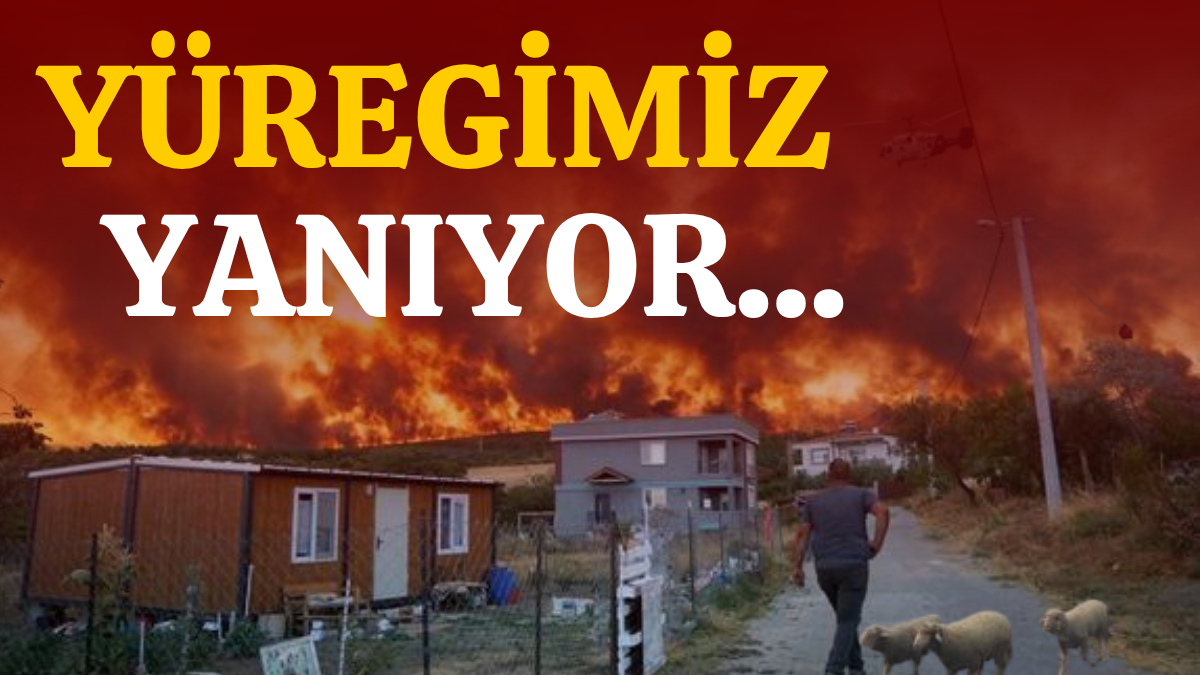 ARCHİE BROWN_20250715_230906_0000