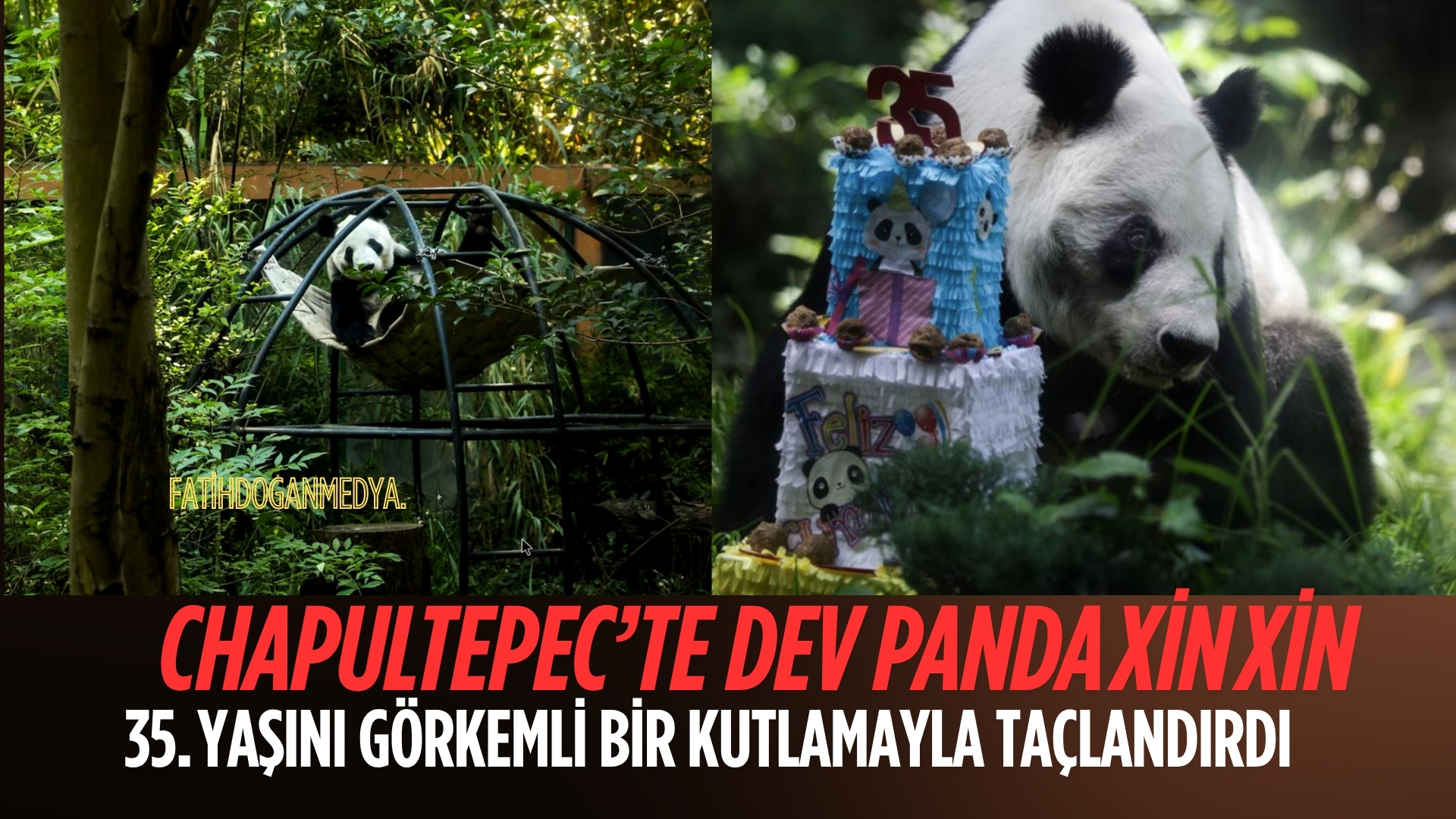 Fatihdoganmedya._20250703_202458_0000