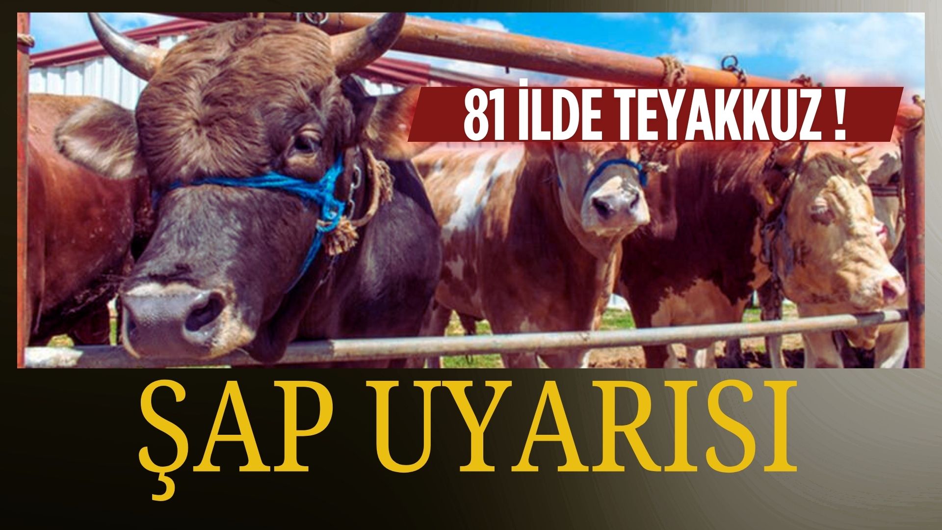 Fatihdoganmedya.com.tr_20250710_122708_0000