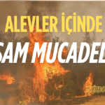 SON DAKİKA_20250701_115311_0000