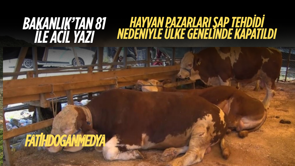 SON DAKİKA_20250701_135019_0000