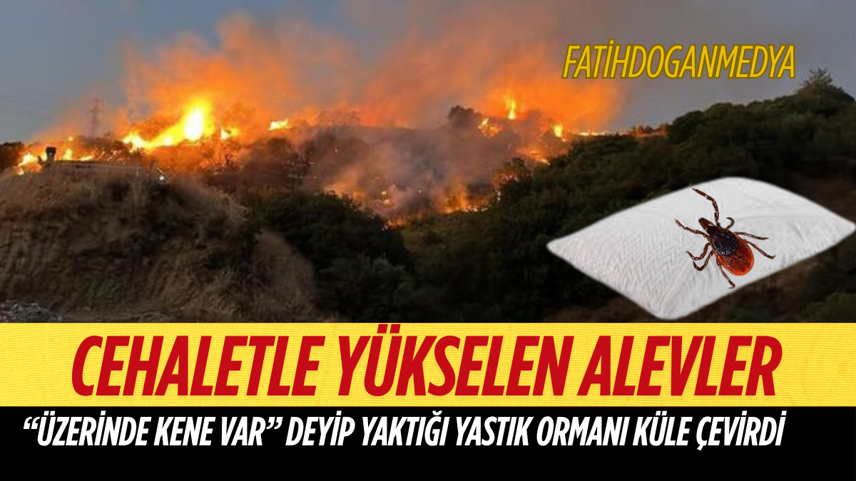 SON DAKİKA_20250701_180747_0000