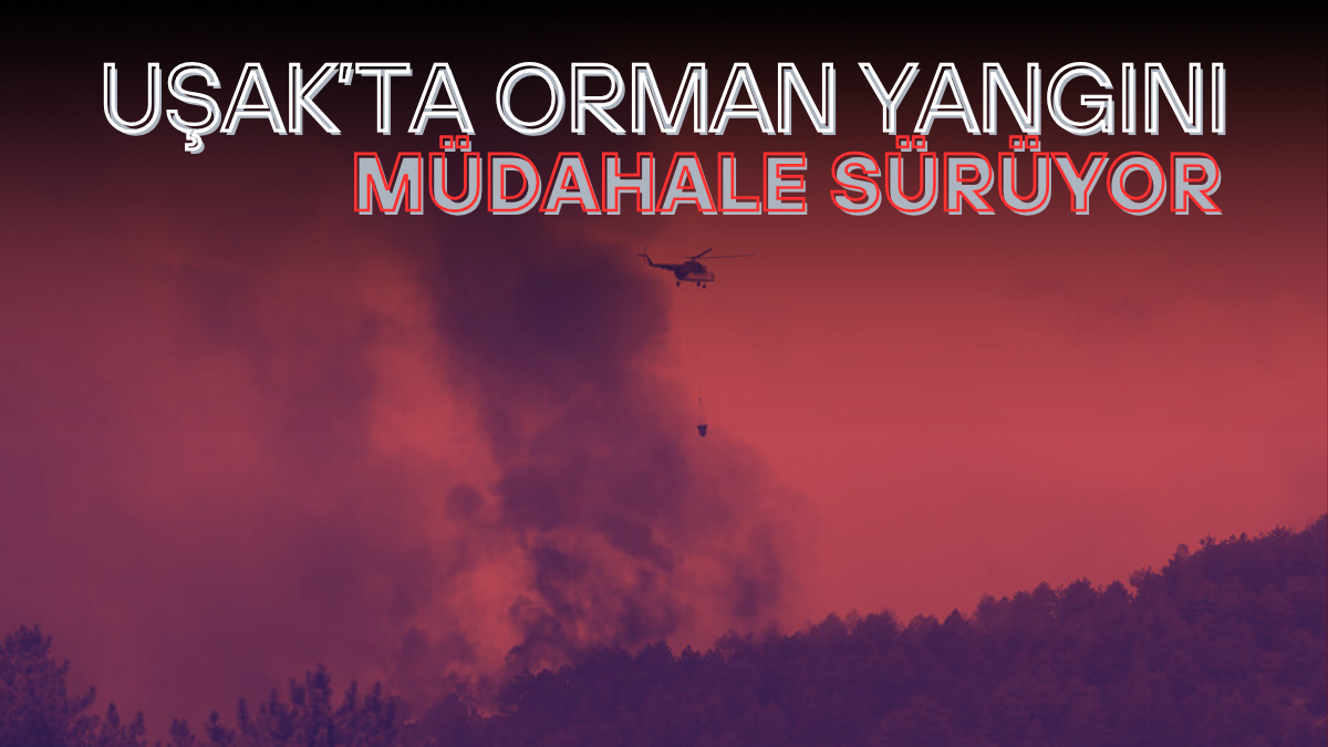 tarafsız_20250720_180146_0000
