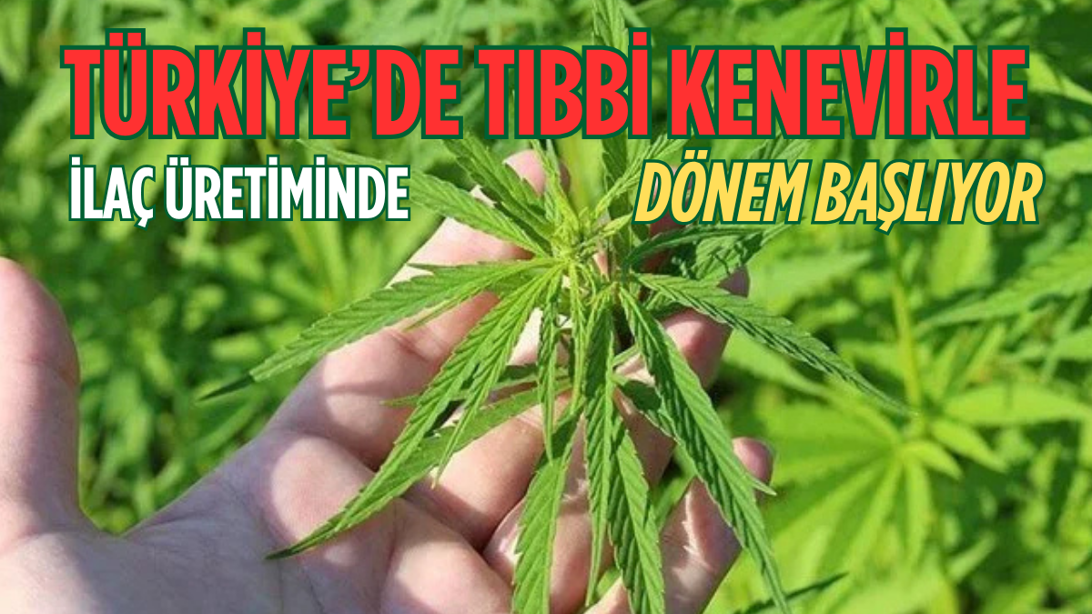 tarafsız_20250721_161853_0000