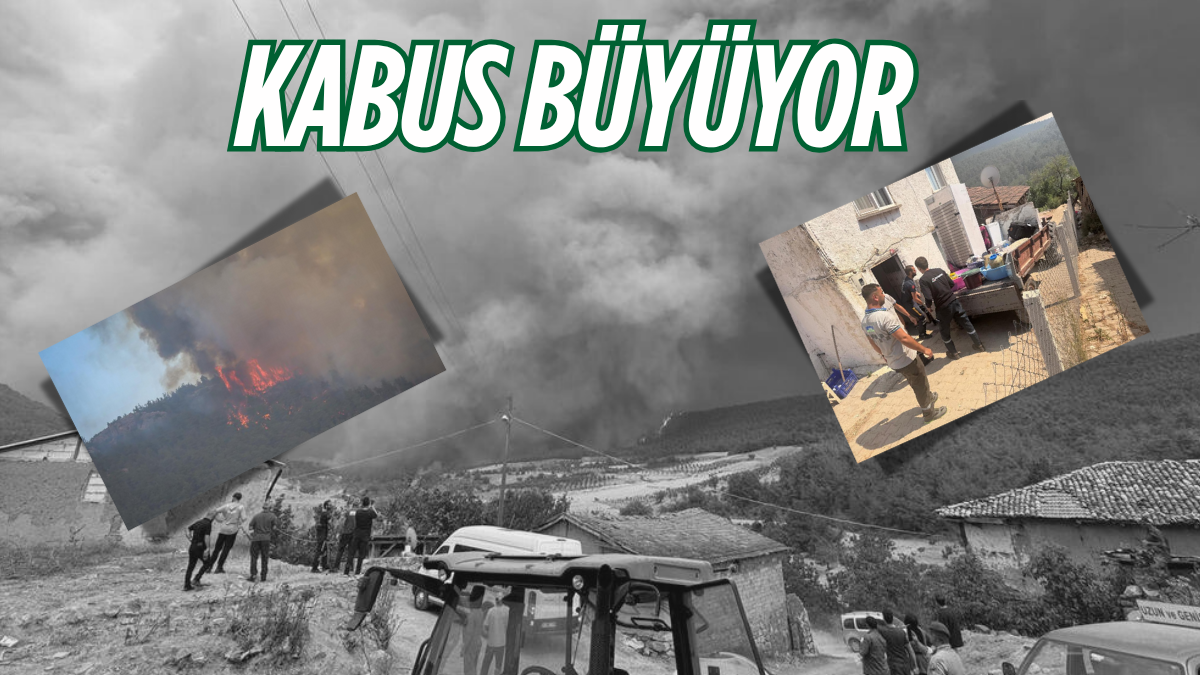 tarafsız_20250721_190358_0000