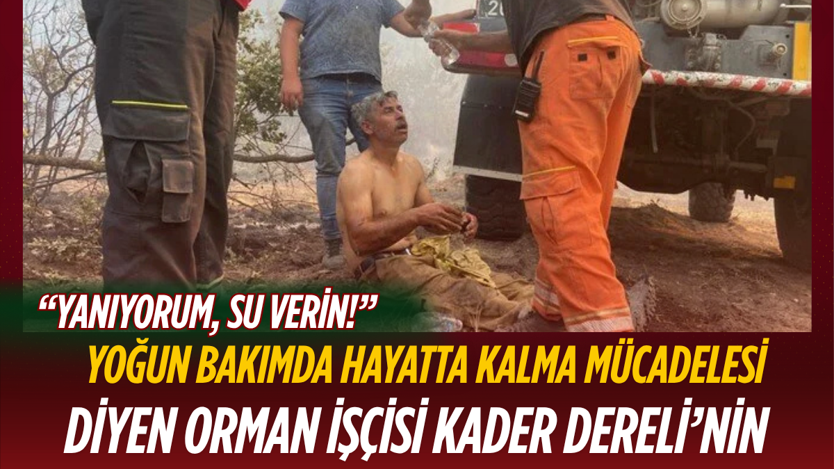 “Yanıyorum, Su Verin!” Diyen Orman İşçisi Kader Dereli’nin Yoğun Bakımda Hayatta Kalma Mücadelesi