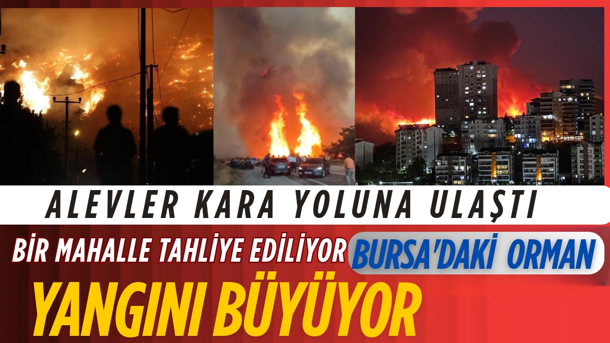 tarafsız_20250726_230135_0000