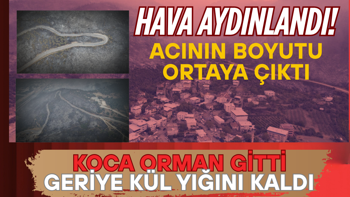 tarafsız_20250727_104009_0000