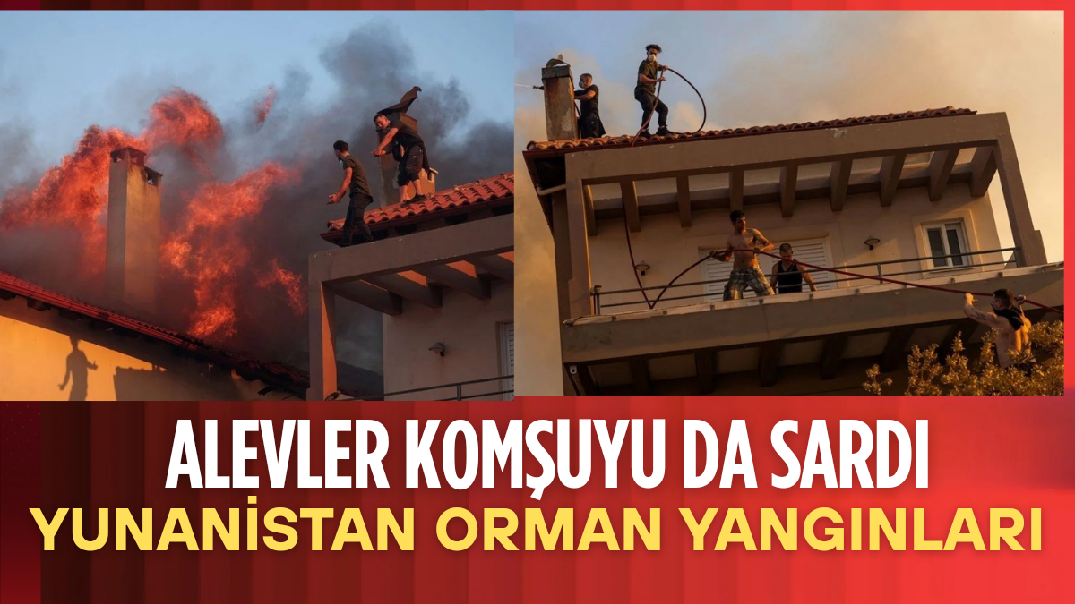 Yunanistan’da Orman Yangınlarıyla Mücadele: Kritik Stratejiler, Kaynaklar ve Gelecek İçin Öğrenilen Dersler