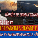 tarafsız_20250727_125613_0000