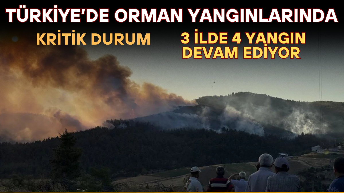 tarafsız_20250727_213936_0000