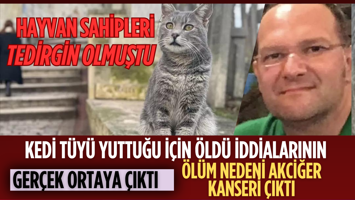 tarafsız_20250730_195949_0000