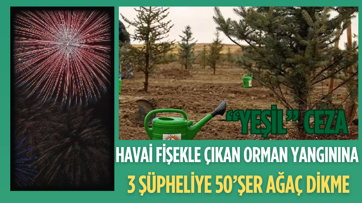 tarafsız_20250730_201230_0000