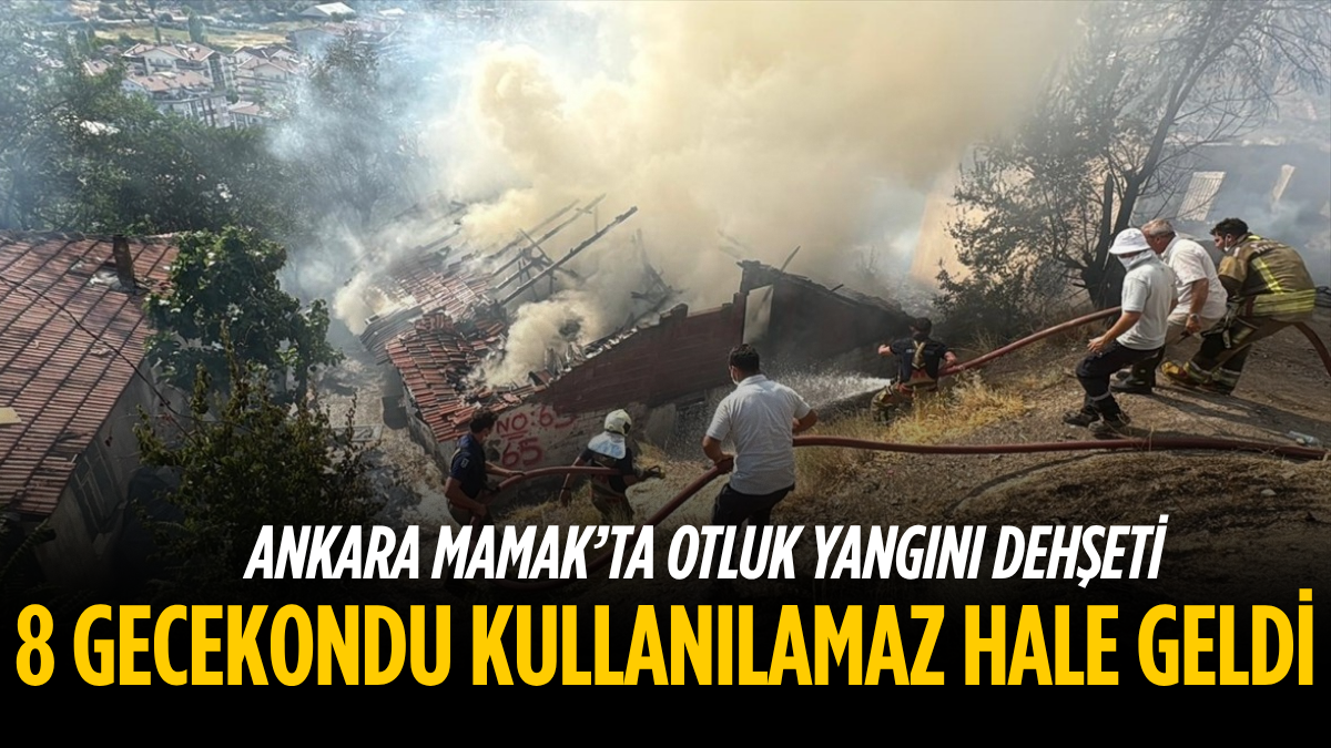 tarafsız_20250730_215713_0000