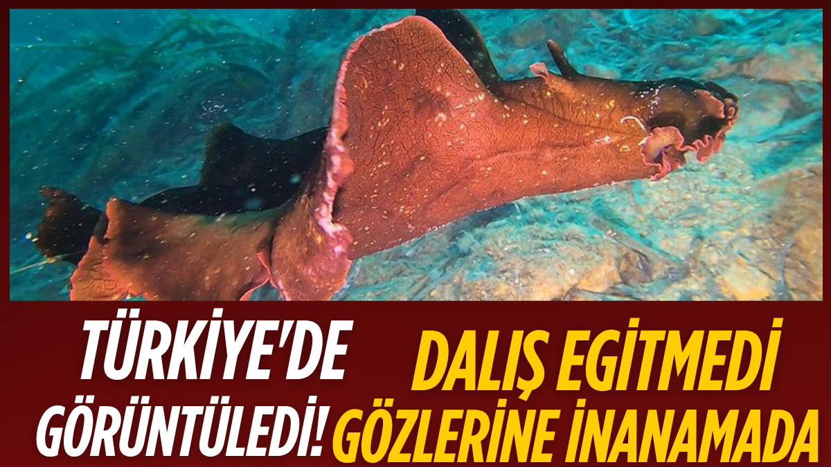 tarafsız_20250731_123530_0000