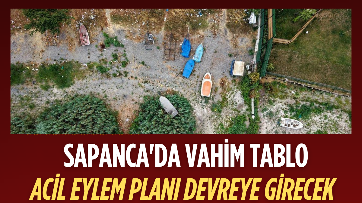tarafsız_20250731_203137_0000
