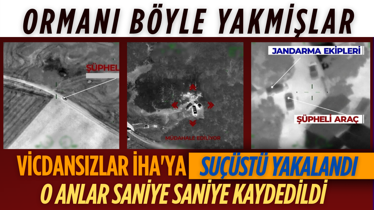 tarafsız_20250731_205910_0000