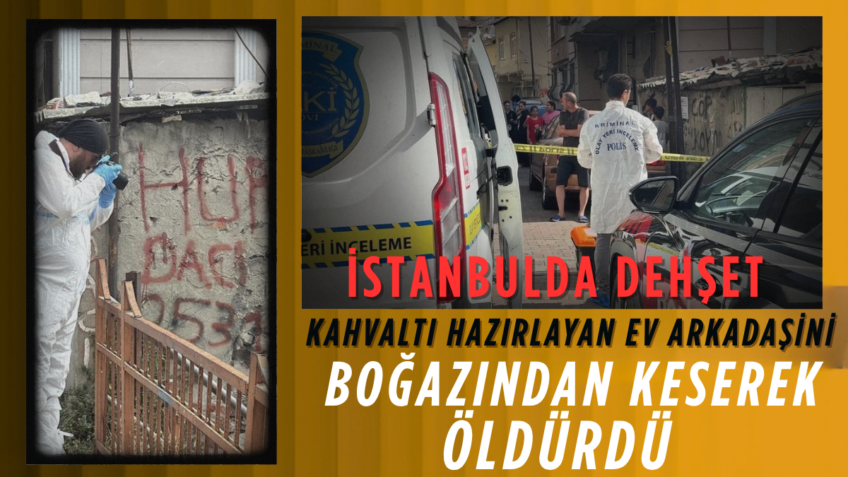 tarafsız_20250731_222541_0000
