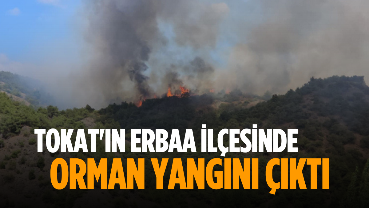 Erdoğa ve Meloni DolmabahçA_20250806_161008_0000