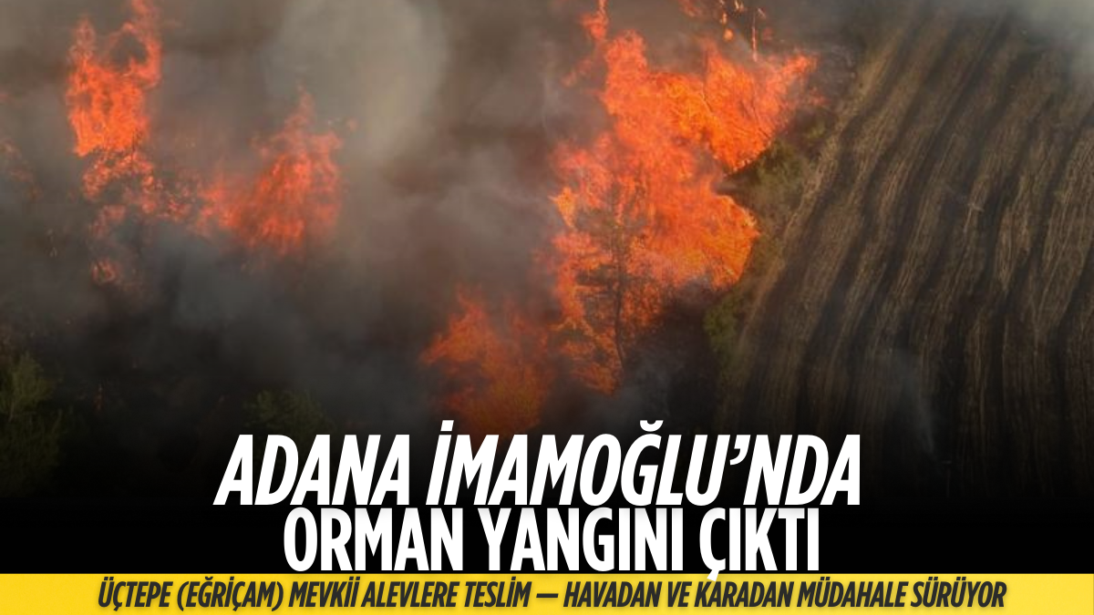 Erdoğa ve Meloni DolmabahçA_20250817_190427_0000