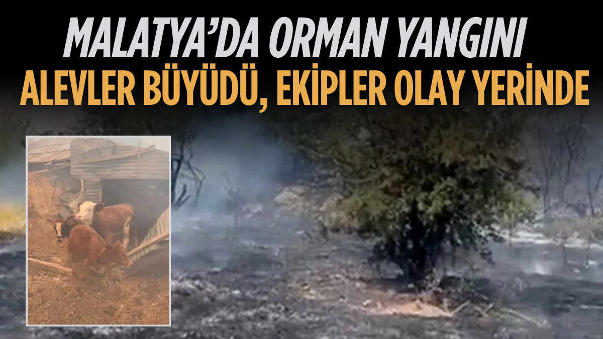 Erdoğa ve Meloni DolmabahçA_20250818_150343_0000
