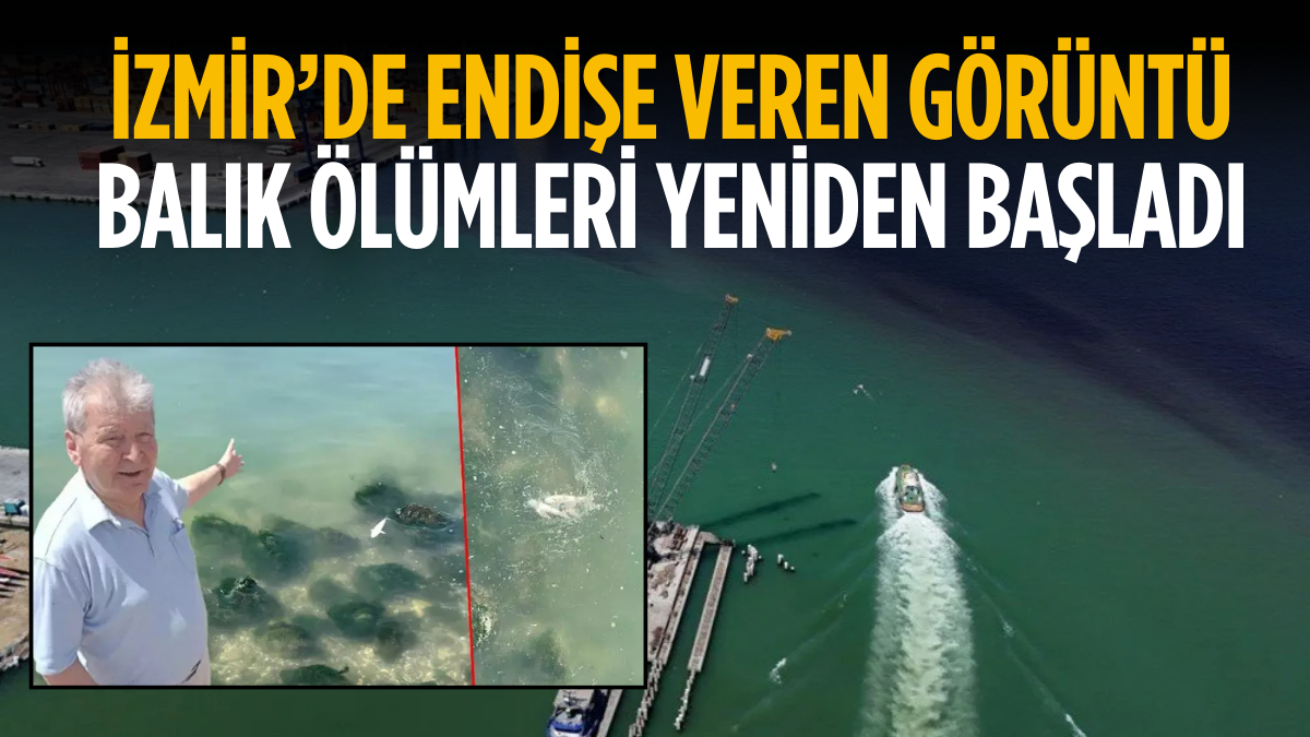 Erdoğa ve Meloni DolmabahçA_20250822_193915_0000