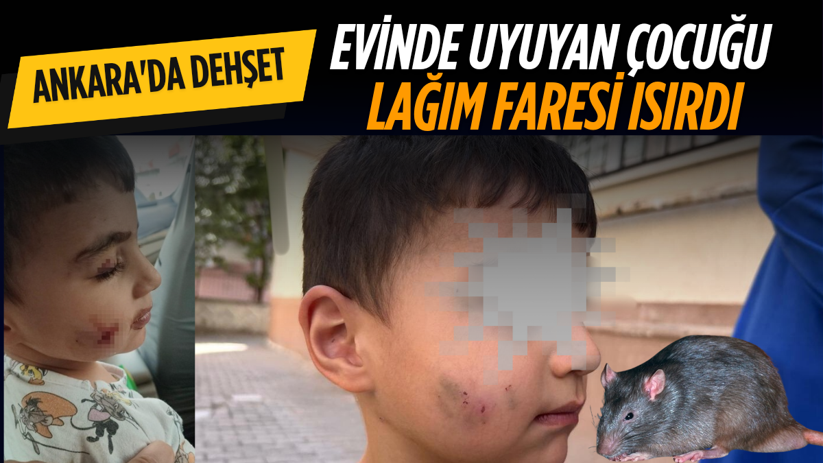 Erdoğa ve Meloni DolmabahçA_20250826_175723_0000
