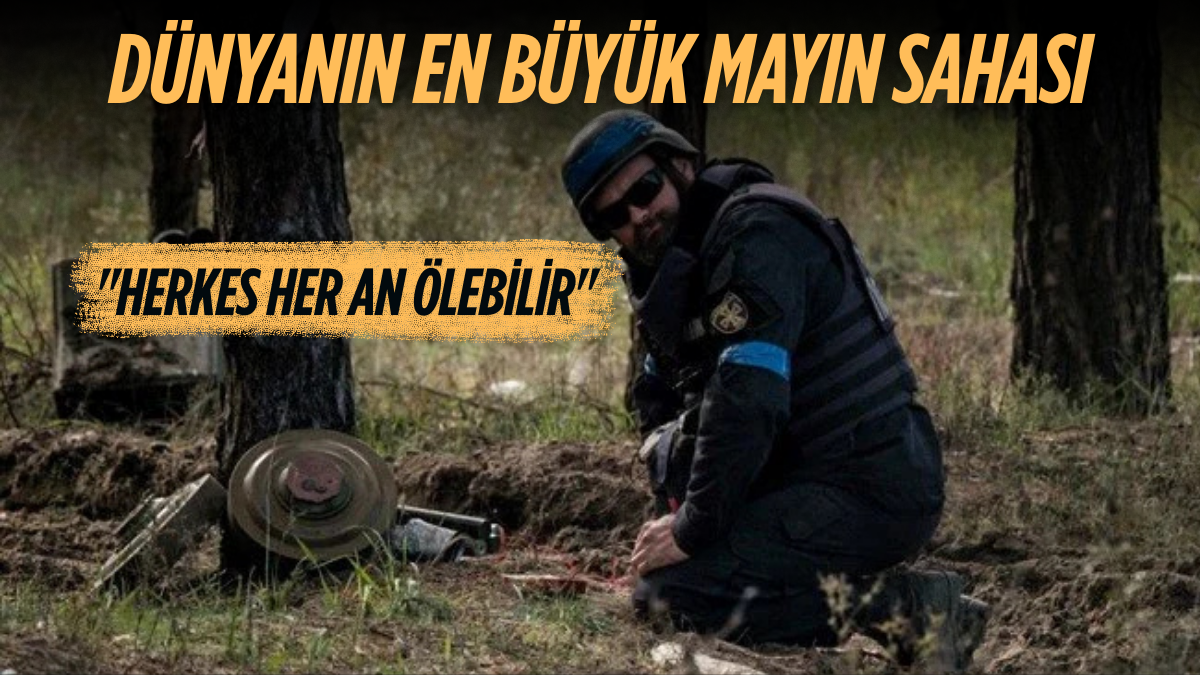 Erdoğa ve Meloni DolmabahçA_20250826_181637_0000