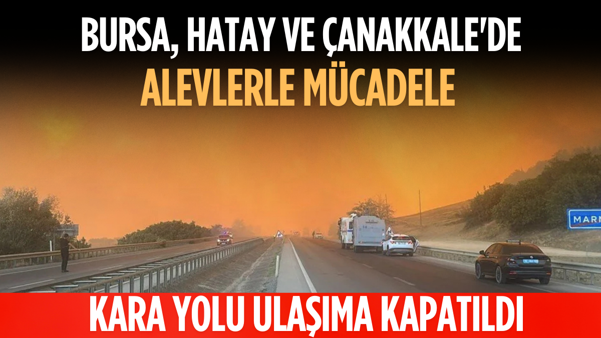 Erdoğa ve Meloni DolmabahçA_20250828_210700_0000