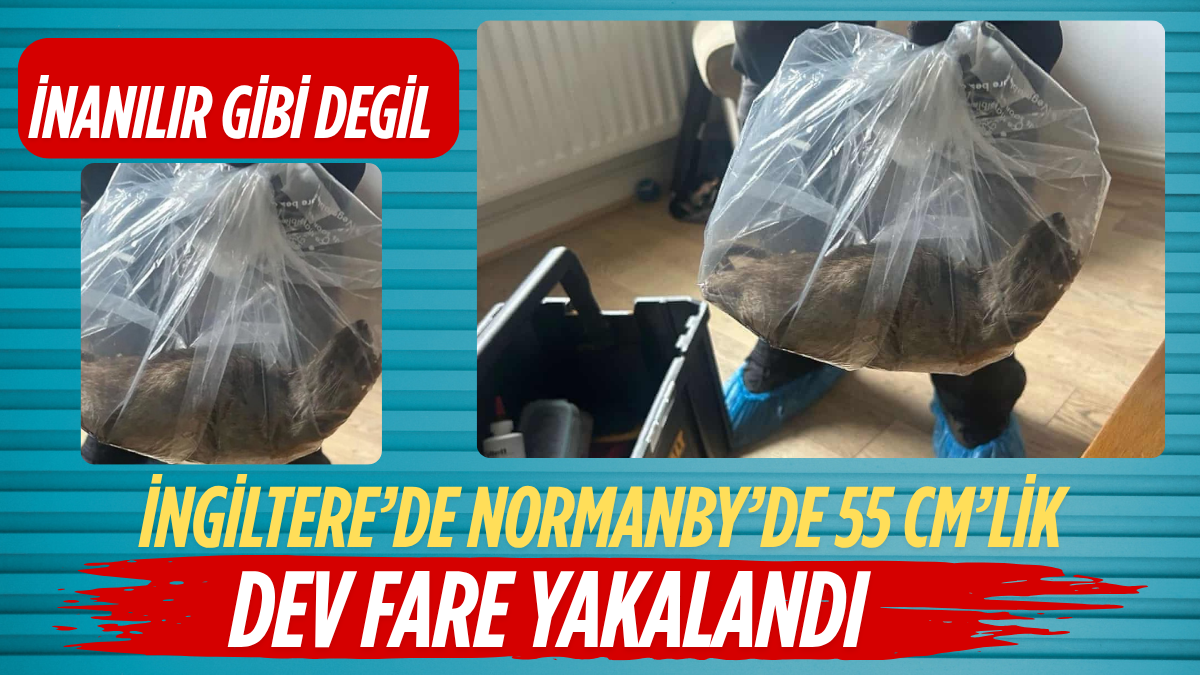 Erdoğan ve Meloni DolmabahçA_20250804_164806_0000